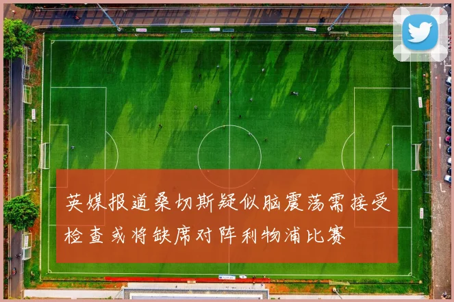 英媒报道桑切斯疑似脑震荡需接受检查或将缺席对阵利物浦比赛