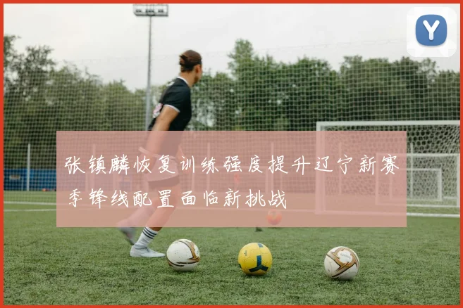 张镇麟恢复训练强度提升辽宁新赛季锋线配置面临新挑战